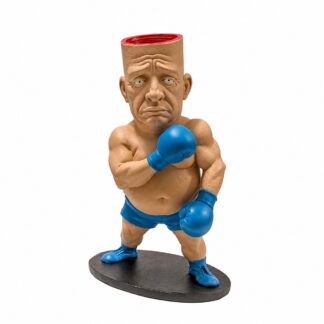 Joe the Boxer - Daniel Johnston